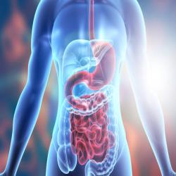 Digestion DwarkeshAyuerved.com