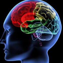 Mind Care DwarkeshAyuerved.com