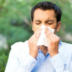 Cough & Cold DwarkeshAyuerved.com