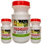 Dwarkesh Chyvanprash 500gm (Pack of 1) DwarkeshAyuerved.com